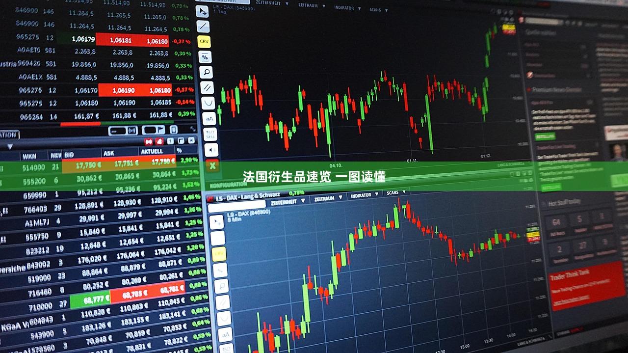 法国衍生品速览 一图读懂